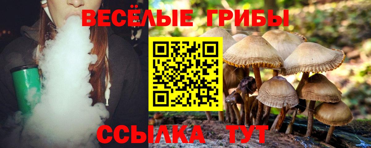 наркота  Псилоцибиновые грибы Cubensis  Вход с VPN  Сарапул 