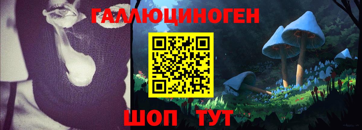 Псилоцибиновые грибы GOLDEN TEACHER Сарапул